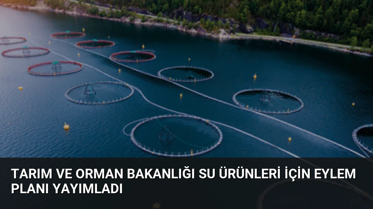 Tarım ve Orman Bakanlığı su ürünleri için eylem planı yayımladı