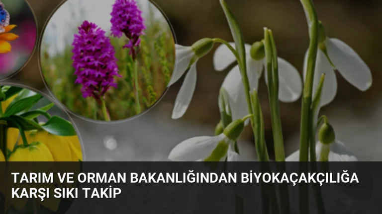 Tarım ve Orman Bakanlığından Biyokaçakçılığa Karşı Sıkı Takip