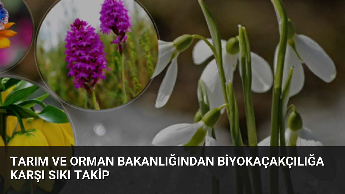Tarım ve Orman Bakanlığından Biyokaçakçılığa Karşı Sıkı Takip