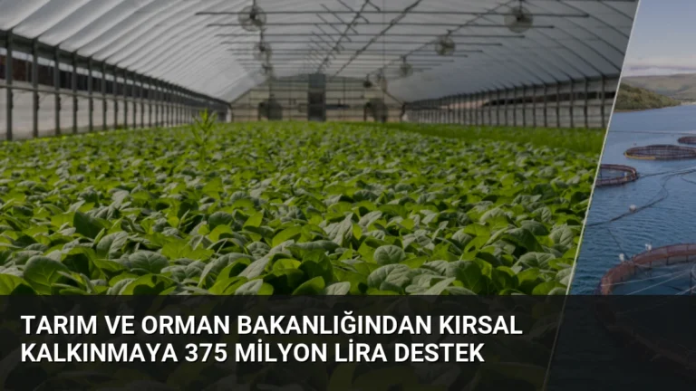 Tarım ve Orman Bakanlığından Kırsal Kalkınmaya 375 Milyon Lira Destek