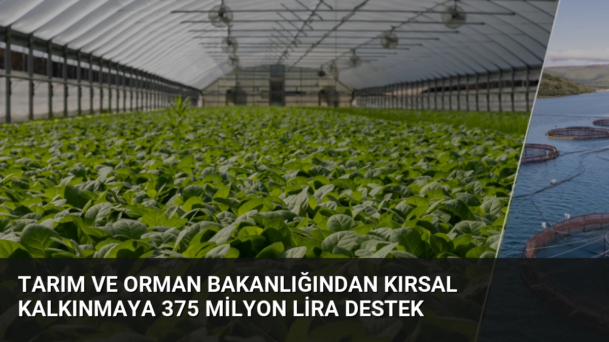 Tarım ve Orman Bakanlığından Kırsal Kalkınmaya 375 Milyon Lira Destek