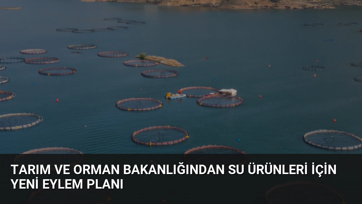 Tarım ve Orman Bakanlığından Su Ürünleri İçin Yeni Eylem Planı