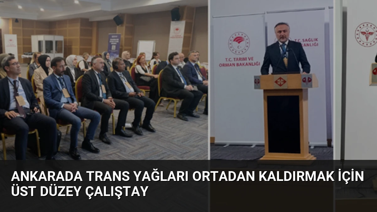 Ankarada Trans Yağları Ortadan Kaldırmak İçin Üst Düzey Çalıştay