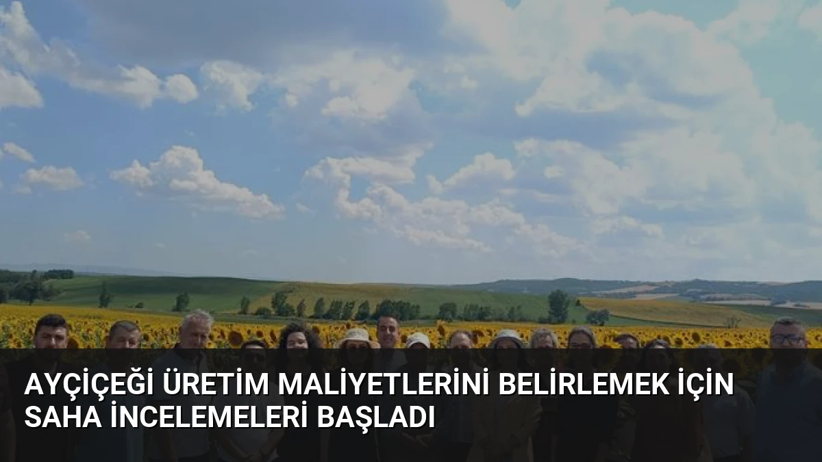 Ayçiçeği Üretim Maliyetlerini Belirlemek İçin Saha İncelemeleri Başladı