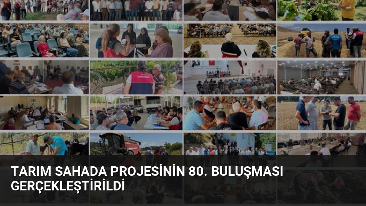 Tarım Sahada projesinin 80. buluşması gerçekleştirildi