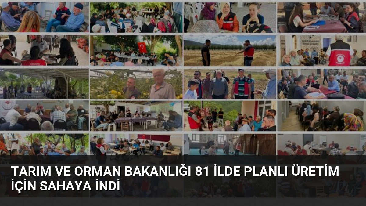 Tarım ve Orman Bakanlığı 81 İlde Planlı Üretim İçin Sahaya İndi
