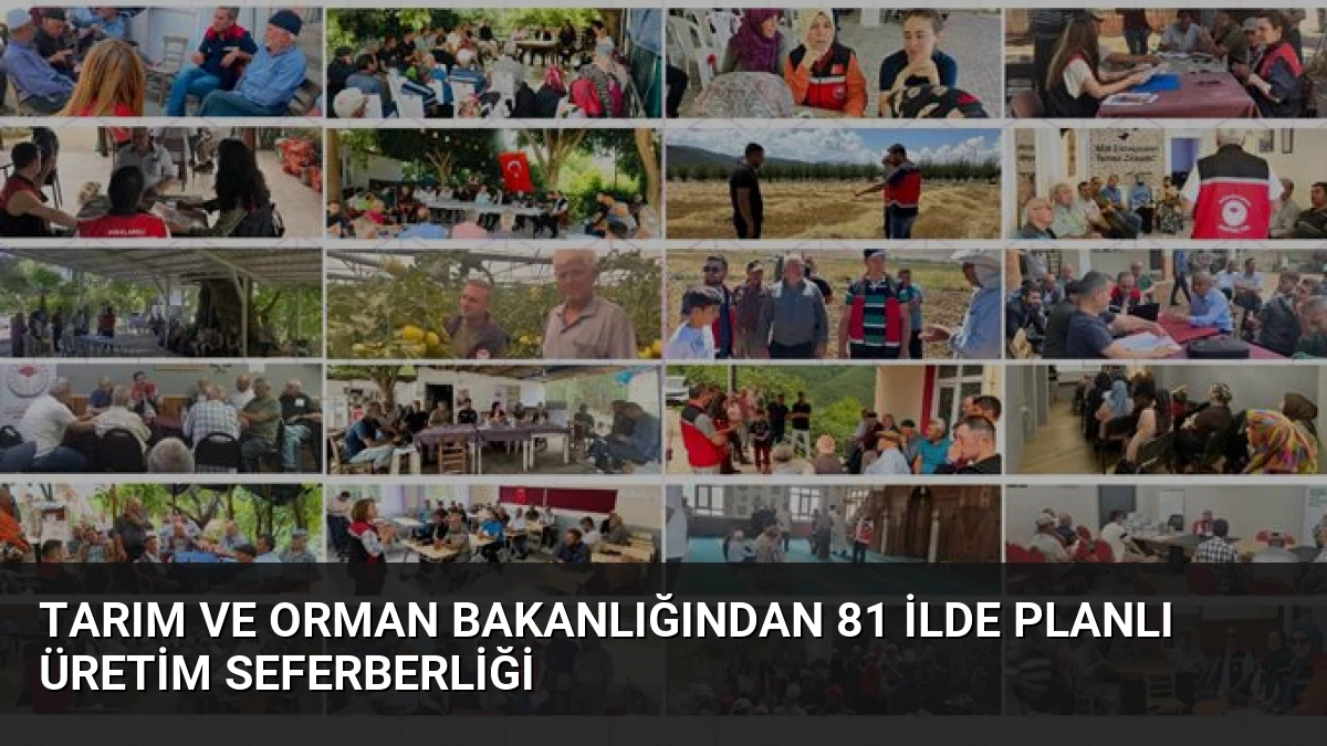 Tarım ve Orman Bakanlığından 81 İlde Planlı Üretim Seferberliği