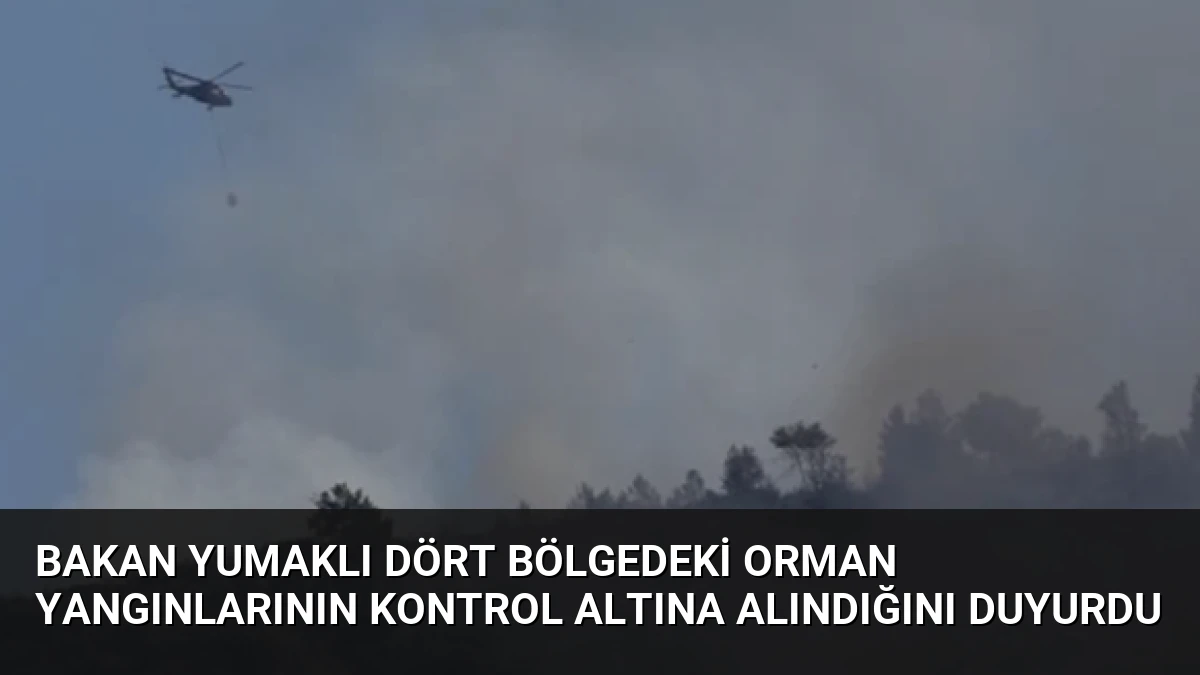 Bakan Yumaklı Dört Bölgedeki Orman Yangınlarının Kontrol Altına Alındığını Duyurdu