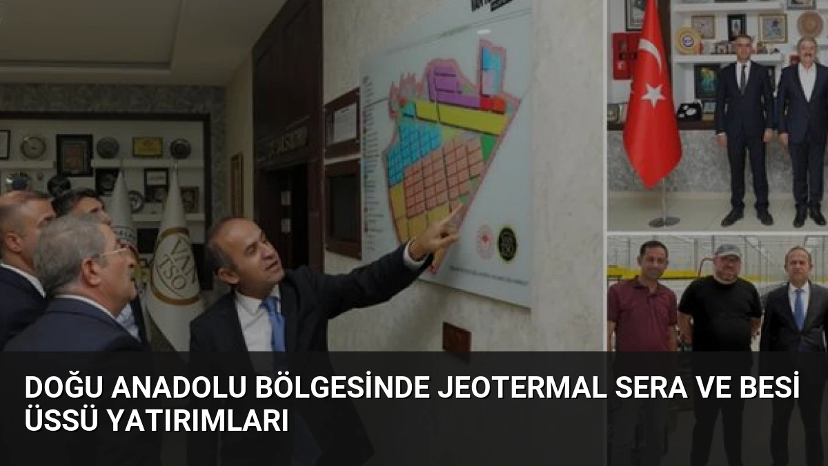 Doğu Anadolu Bölgesinde Jeotermal Sera ve Besi Üssü Yatırımları