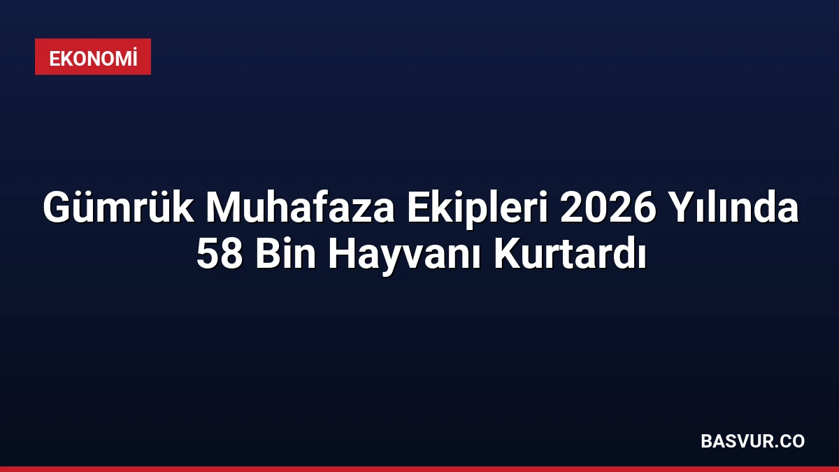 Gümrük Muhafaza Ekipleri 2026 Yılında 58 Bin Hayvanı Kurtardı