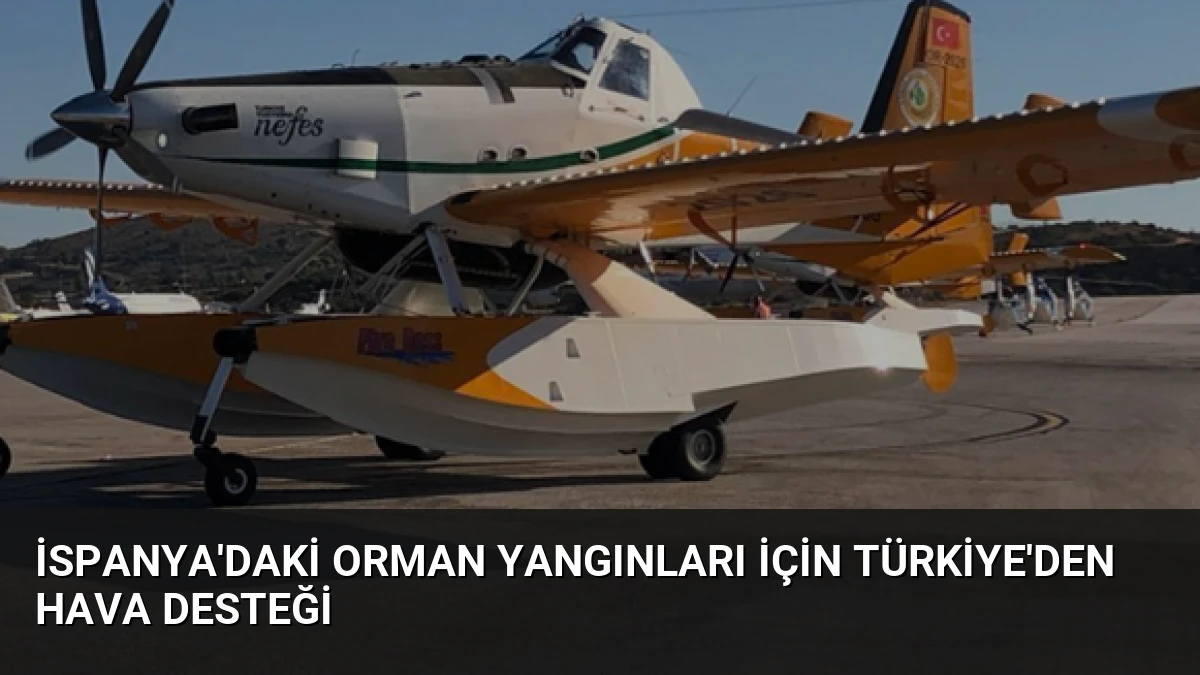 İspanya’daki Orman Yangınları İçin Türkiye’den Hava Desteği