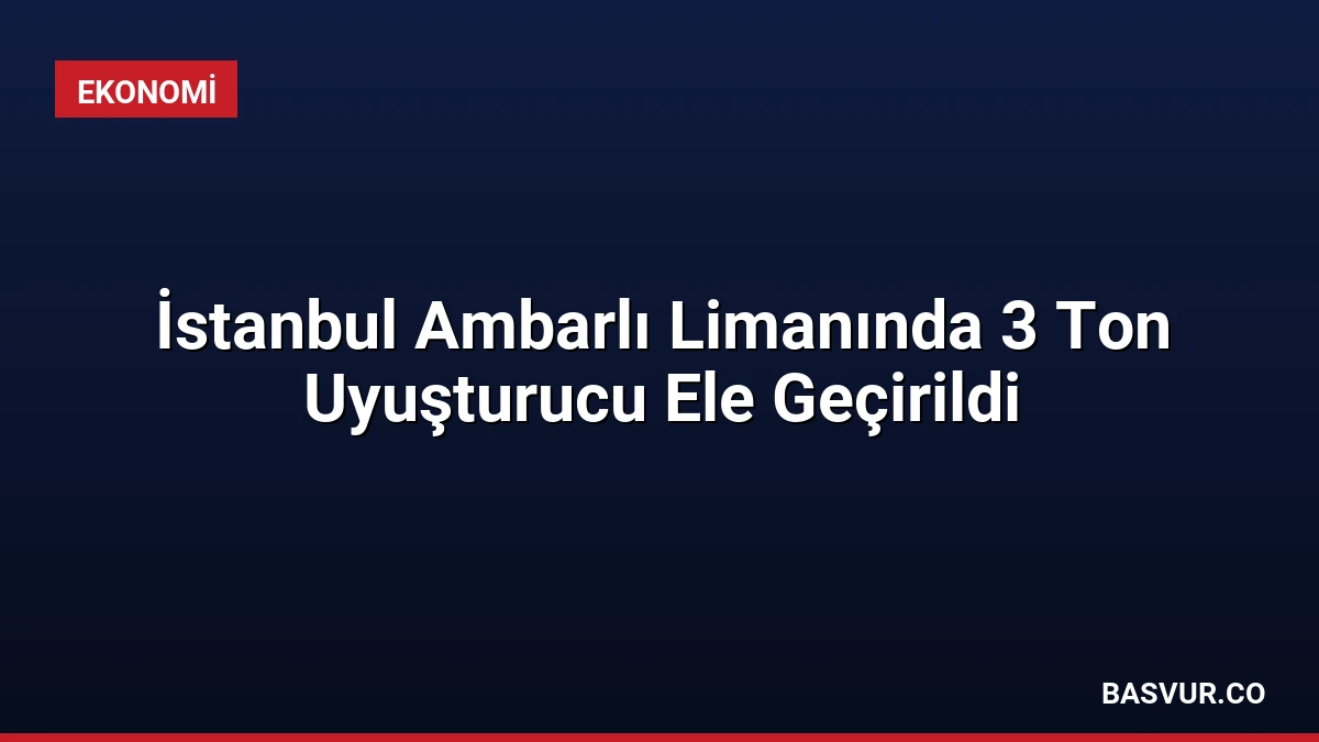 İstanbul Ambarlı Limanında 3 Ton Uyuşturucu Ele Geçirildi