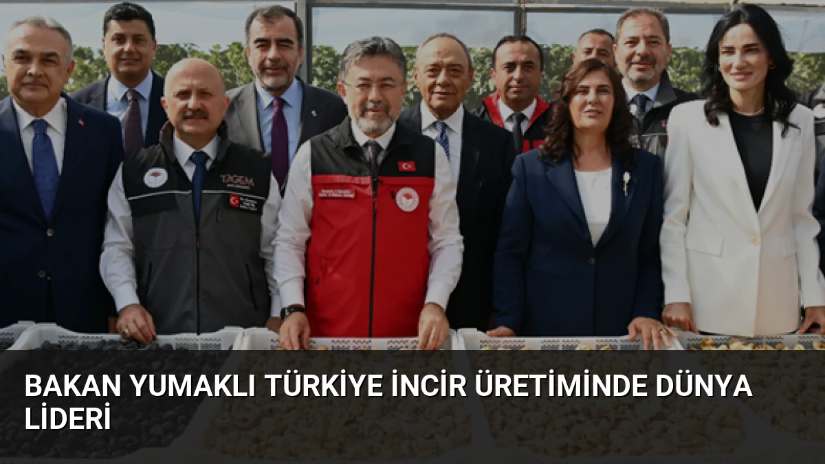 Bakan Yumaklı Türkiye İncir Üretiminde Dünya Lideri