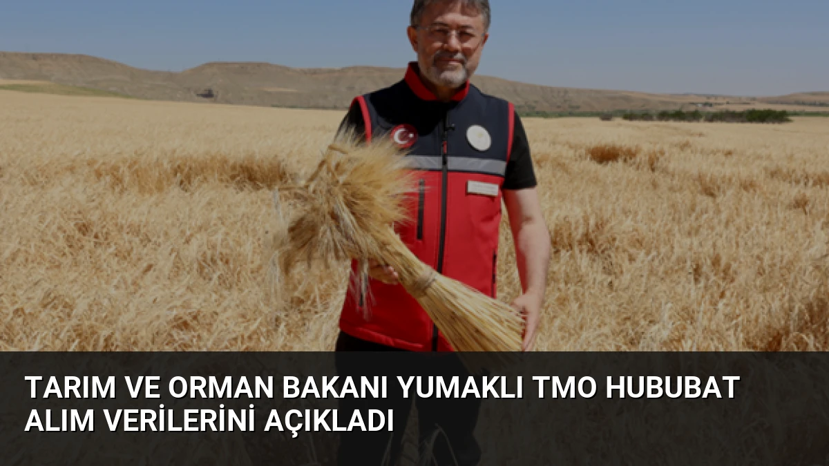 Tarım ve Orman Bakanı Yumaklı TMO Hububat Alım Verilerini Açıkladı