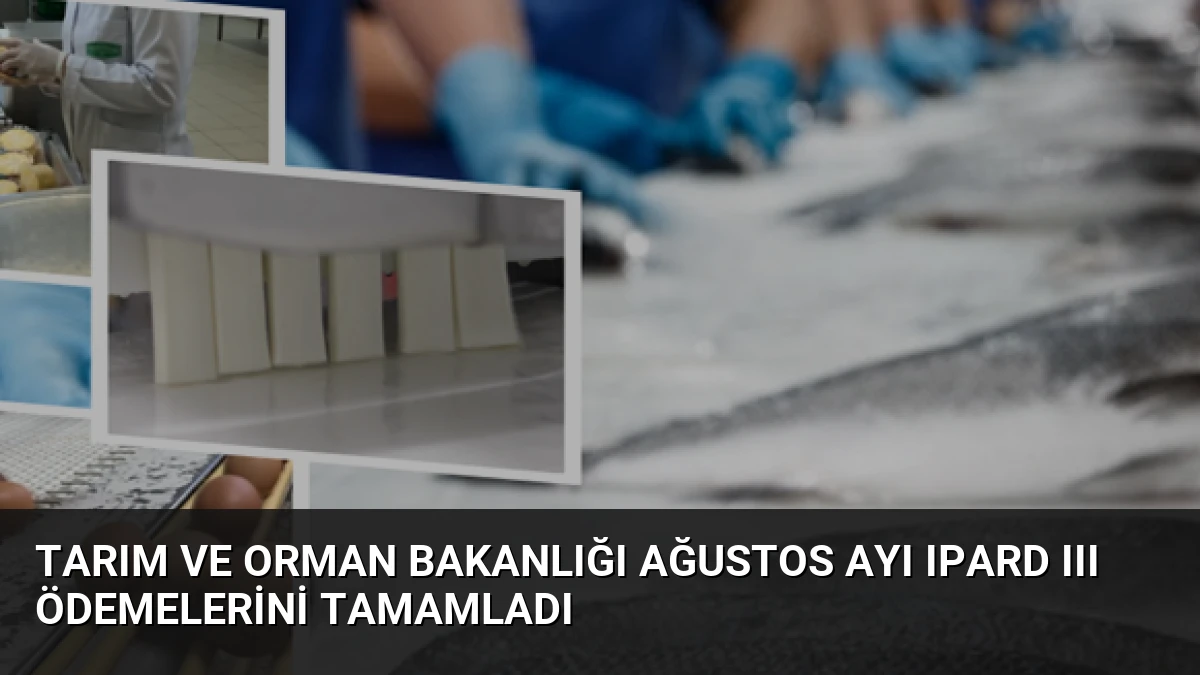 Tarım ve Orman Bakanlığı Ağustos Ayı IPARD III Ödemelerini Tamamladı