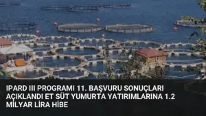 IPARD III Programı 11. Başvuru Sonuçları Açıklandı Et Süt Yumurta Yatırımlarına 1.2 Milyar Lira Hibe