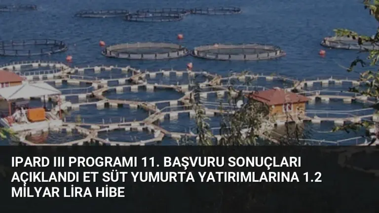 IPARD III Programı 11. Başvuru Sonuçları Açıklandı Et Süt Yumurta Yatırımlarına 1.2 Milyar Lira Hibe