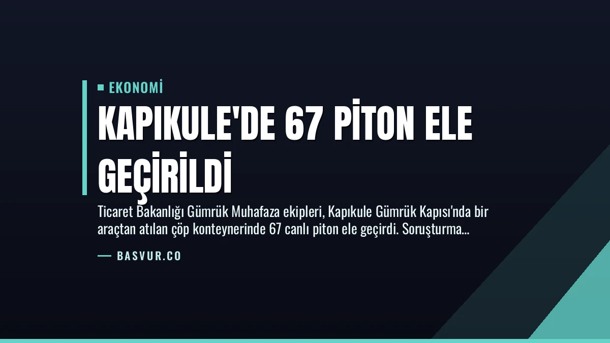 Kapıkule’de 67 Piton Ele Geçirildi